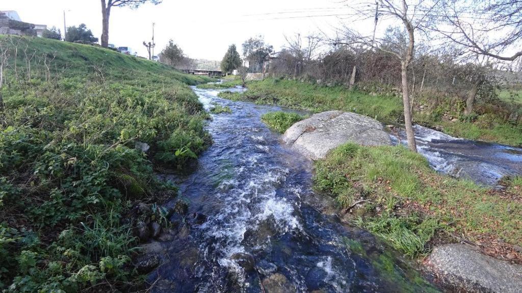 Casa Do Loureiro 1 - Seia - Serra Da Estrela Eksteriør bilde